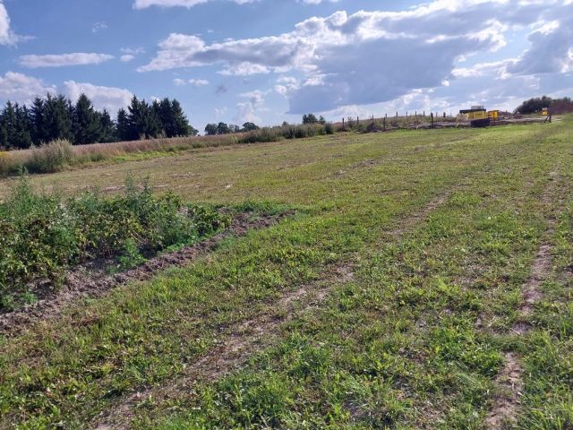 Działka budowlana Dzikowo. Zdjęcie 1