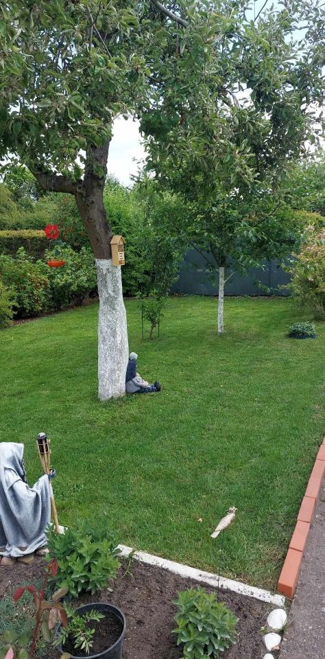 Działka rod Giżycko. Zdjęcie 8