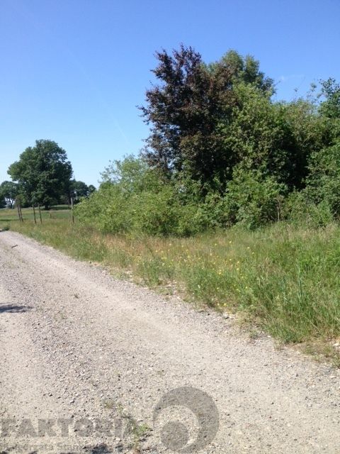 Działka budowlana Lubczyna, ul. Cisowa. Zdjęcie 5