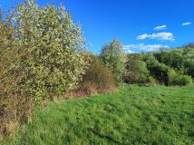 Działka rolno-budowlana Jurczyce. Zdjęcie 1