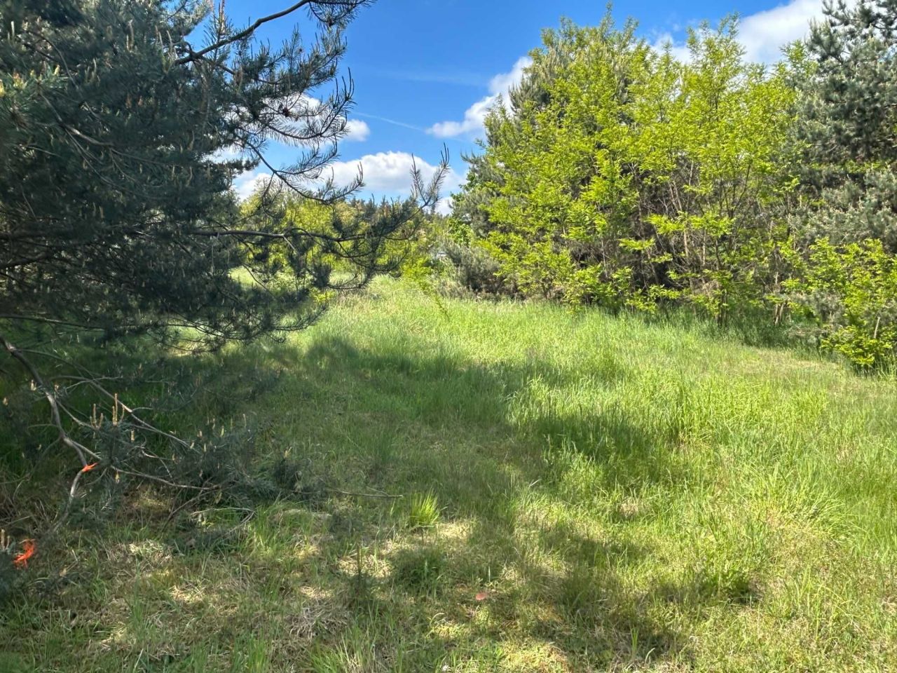 Działka budowlana Raszowa