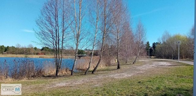 Działka leśna Morawica. Zdjęcie 11