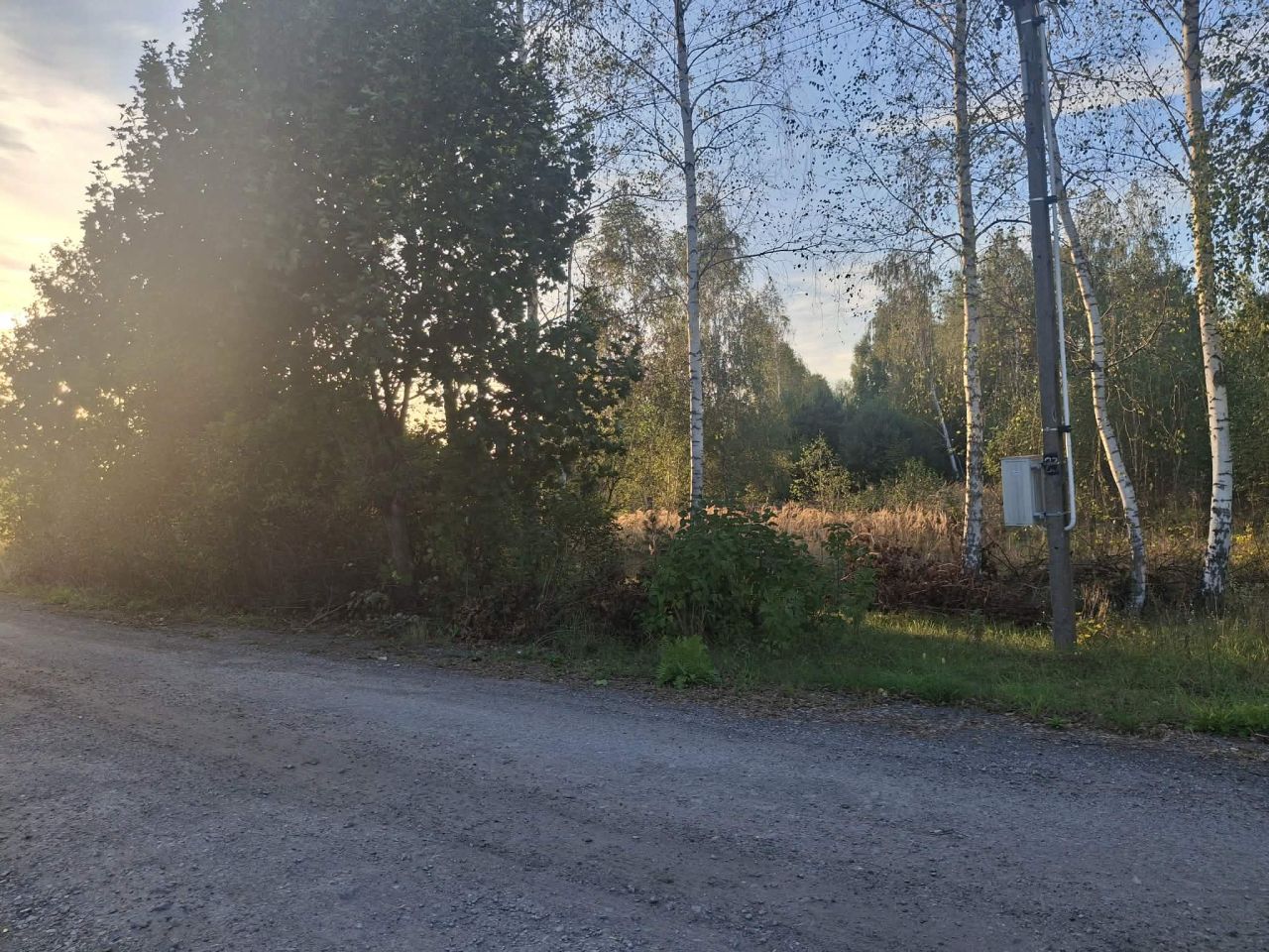 Działka rolno-budowlana Dębniak. Zdjęcie 4