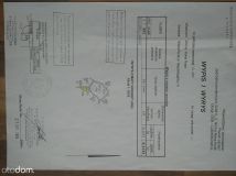 Działka budowlana Ludwikowice Kłodzkie. Zdjęcie 1