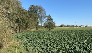 Działka budowlana Stare Proboszczewice