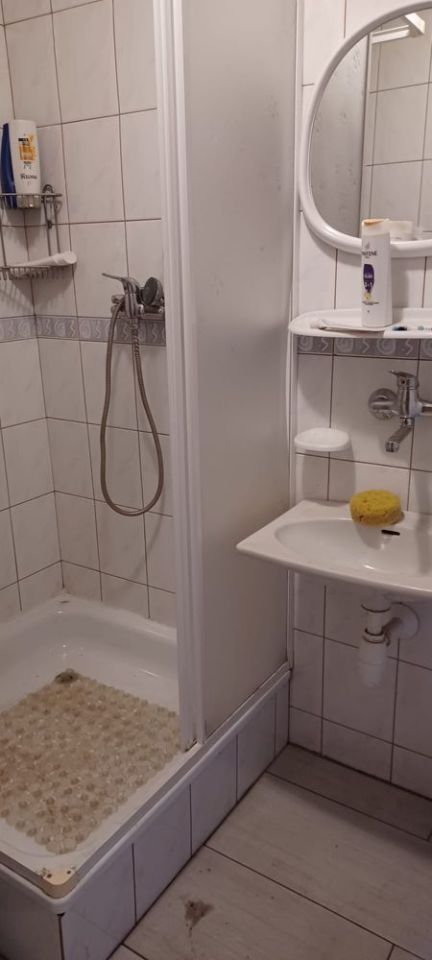 Działka rod Poznań Ławica. Zdjęcie 2