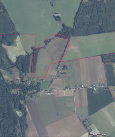 Działka rolna Berkanowo. Zdjęcie 1