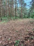 Działka inna Gorzewo, -. Zdjęcie 2