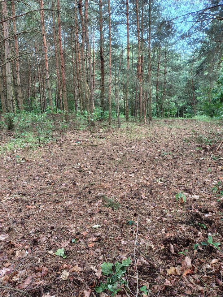 Działka inna Gorzewo, -. Zdjęcie 3