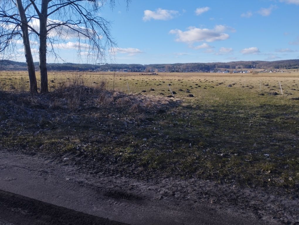 Działka rolna Nowa Wieś Lęborska. Zdjęcie 8