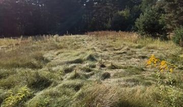 Działka leśna Mójcza