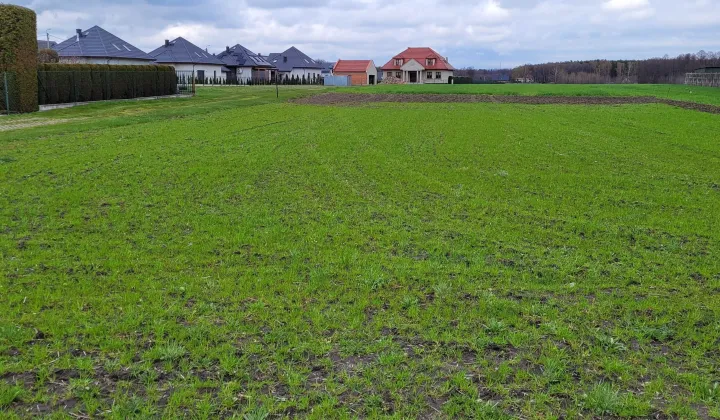 Działka budowlana Gostyń, ul. Rybnicka