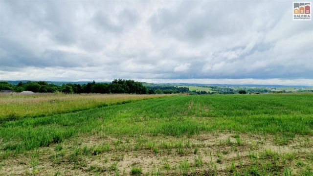 Działka rolna Grzegorzówka. Zdjęcie 1