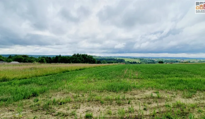 Działka rolna Grzegorzówka