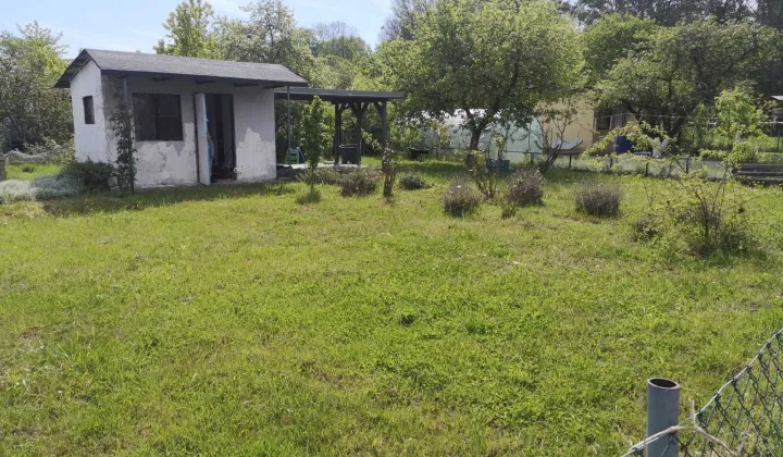 Działka rod Wrocław Psie Pole