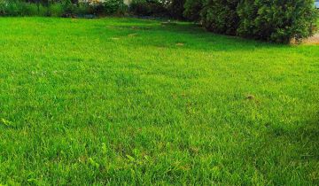 Działka rod Gdańsk Krakowiec, ul. Zawiślańska