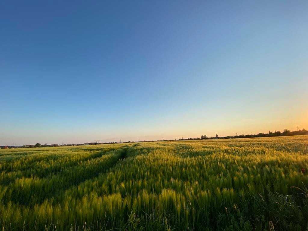 Działka budowlana Jarocin, ul. Feliksa Łabędzkiego