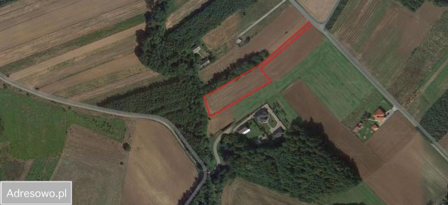 Działka rolno-budowlana Pustków Krownice. Zdjęcie 1