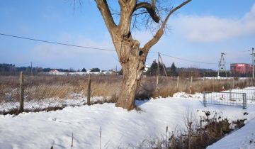 Działka inwestycyjna Tarczyn, ul. Warszawska