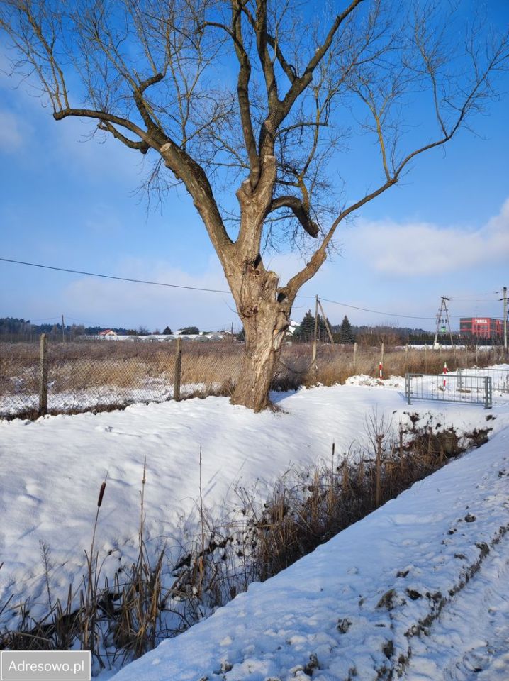 Działka inwestycyjna Tarczyn, ul. Warszawska. Zdjęcie 2