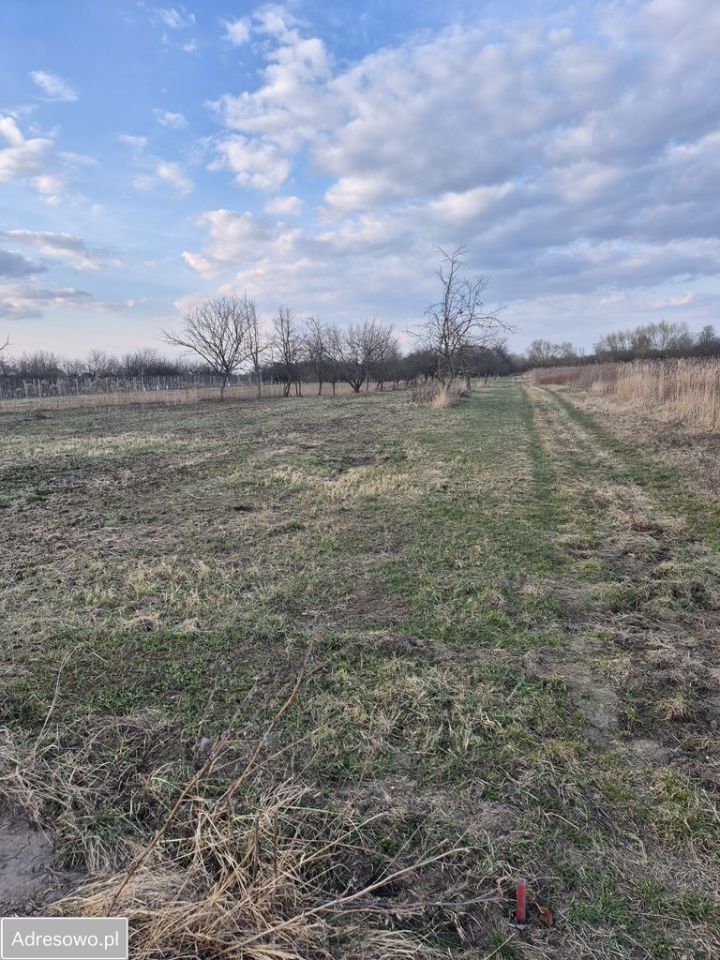 Działka rolna Kępa Nadbrzeska. Zdjęcie 6