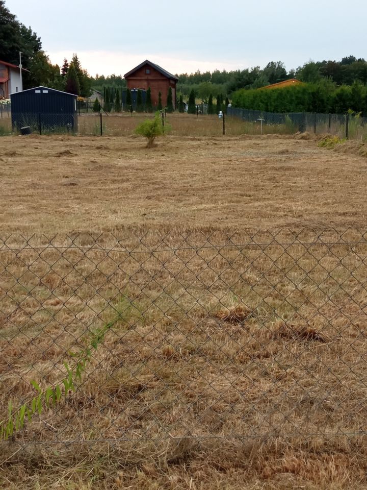 Działka rod Osuchów, ul. Wiejska. Zdjęcie 3