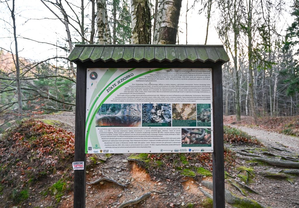 Działka inwestycyjna Wieściszowice. Zdjęcie 19