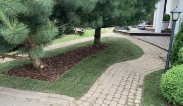 dom wolnostojący, 6 pokoi Kielno