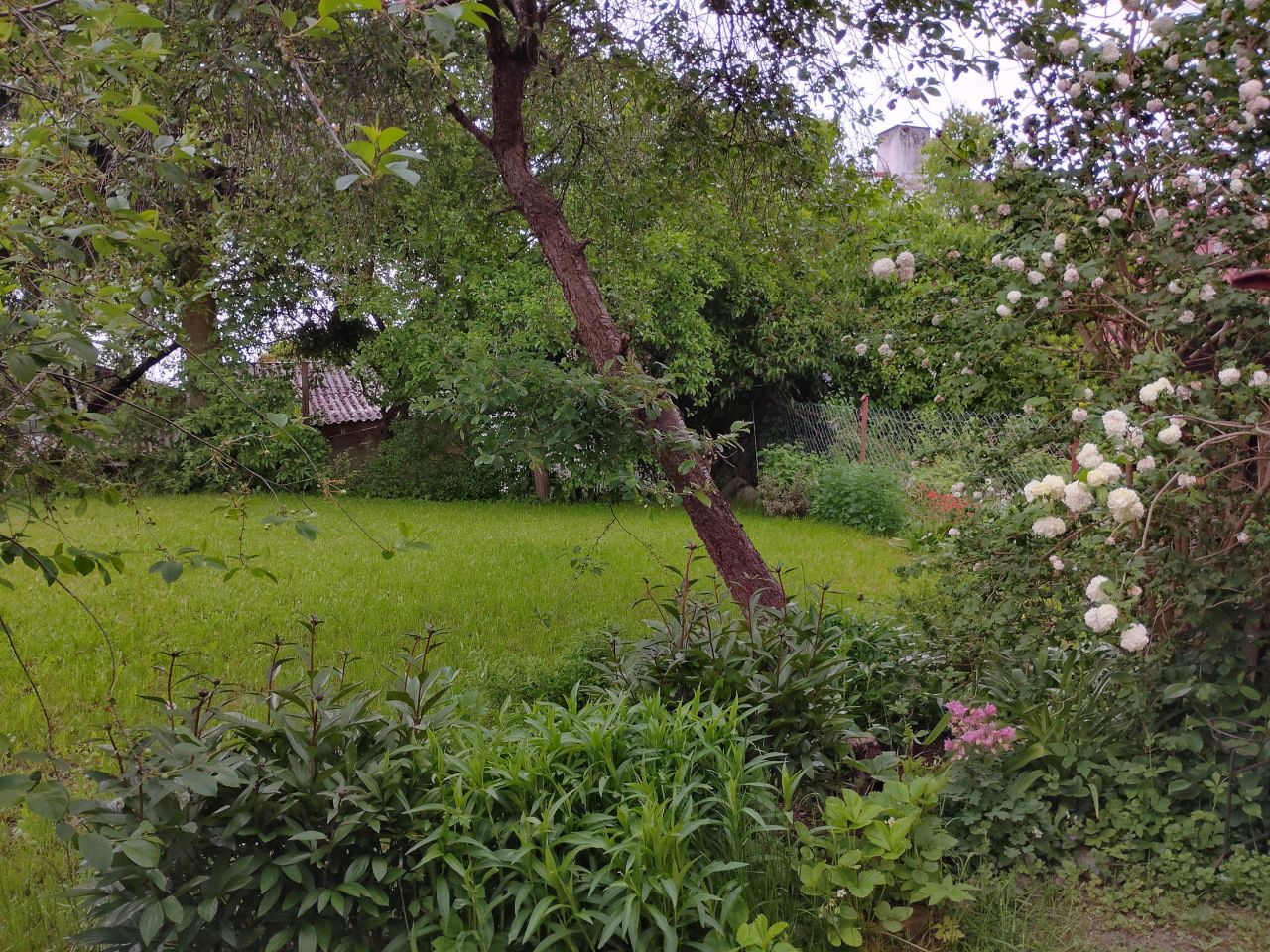 budynek wielorodzinny, 4 pokoje Jurki. Zdjęcie 29