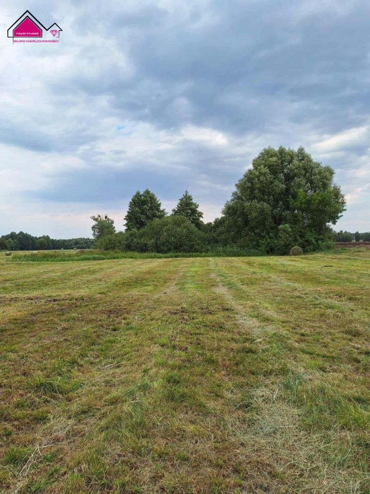 Działka rolna Wilcza Kłoda. Zdjęcie 5