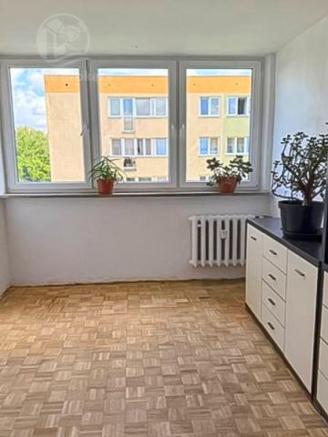 Mieszkanie 2-pokojowe Wrocław Psie Pole, ul. Sycowska. Zdjęcie 4