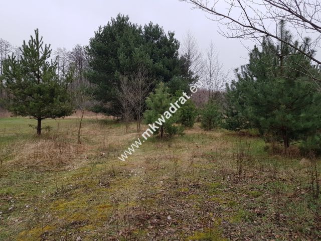 Działka budowlana Marynin. Zdjęcie 1
