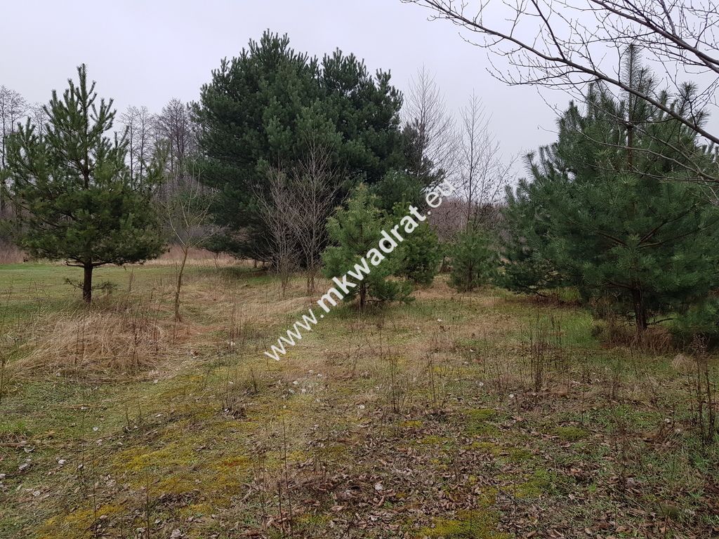 Działka budowlana Marynin. Zdjęcie 1