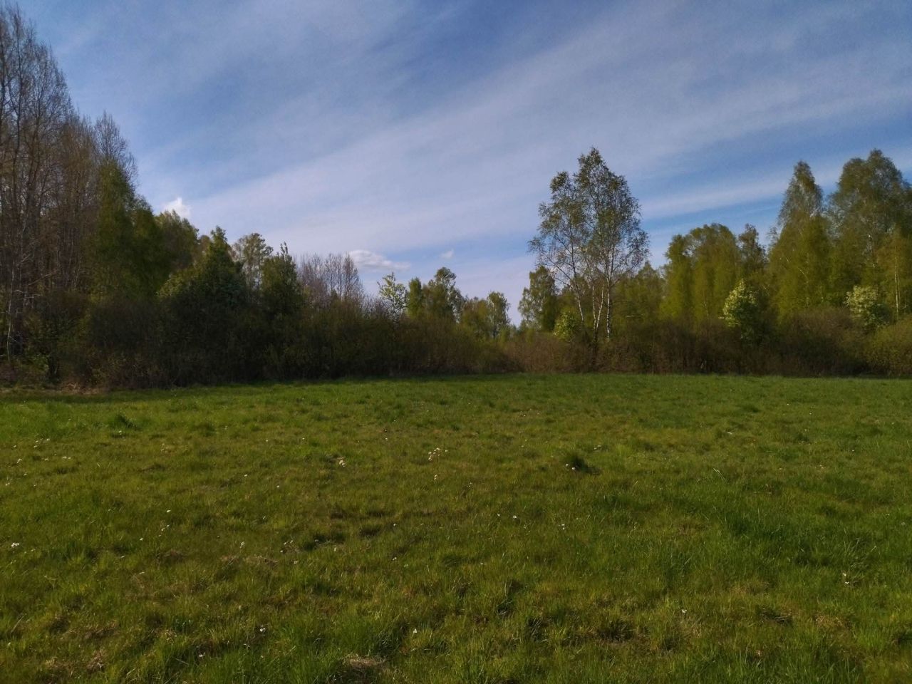 Działka budowlana Wielimowo. Zdjęcie 10