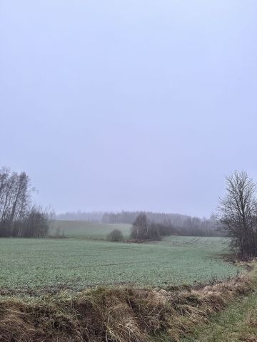 Działka rolna Liniewko Kościerskie. Zdjęcie 1