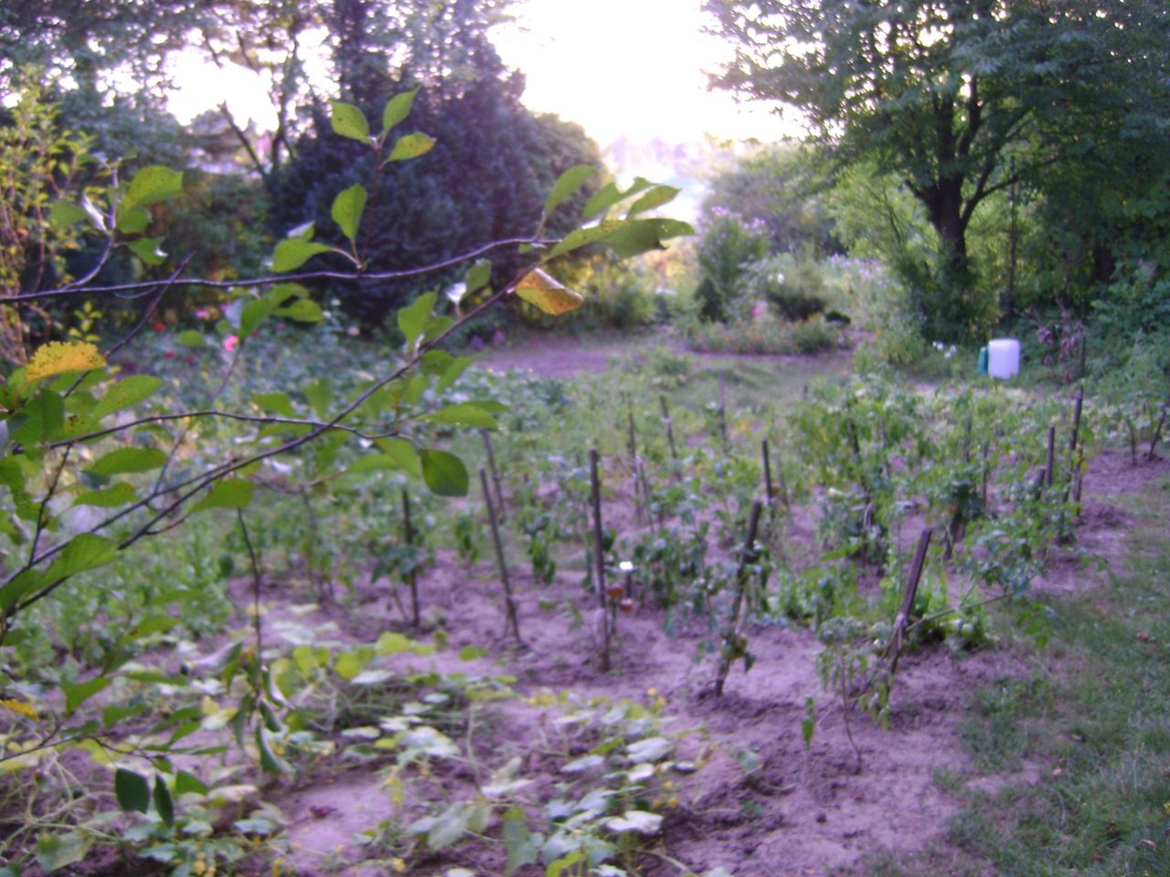 Działka rod Lublin Szerokie, ul. Nałęczowska. Zdjęcie 7