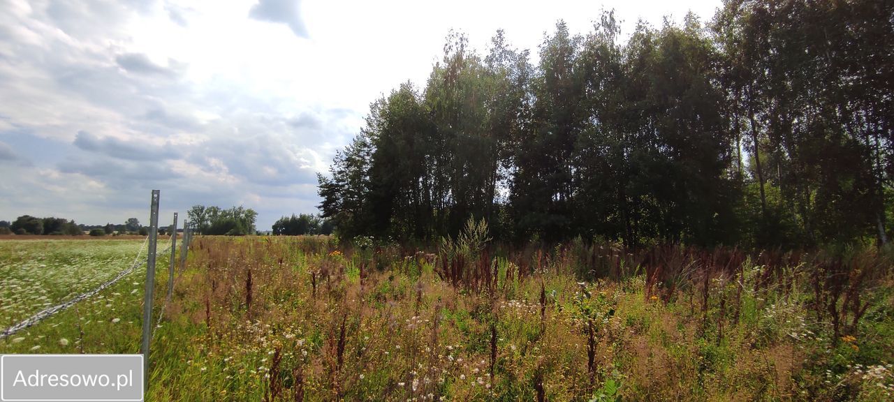 Działka budowlana Rafałówka