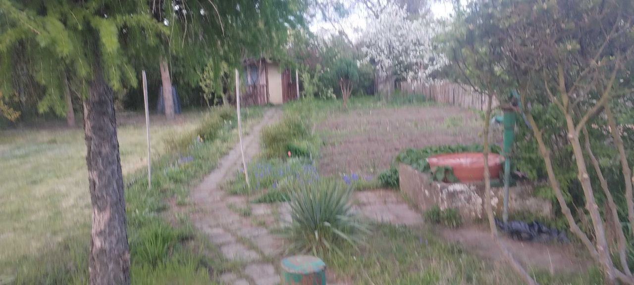 Działka rod Wrocław Śródmieście. Zdjęcie 5