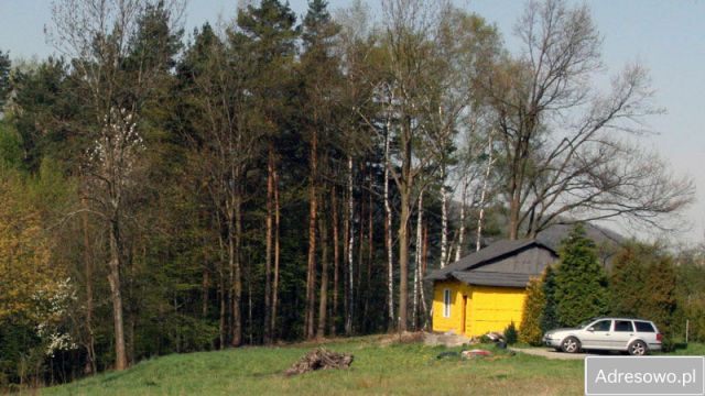 Działka budowlana Brody. Zdjęcie 1