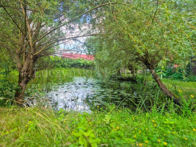 dom wolnostojący, 11 pokoi Mysłakowice. Zdjęcie 19