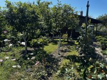 Działka rod Jelcz-Laskowice Centrum, ul. Oławska. Zdjęcie 4