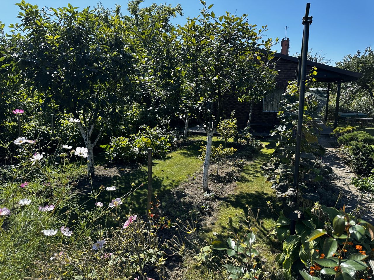 Działka rod Jelcz-Laskowice Centrum, ul. Oławska. Zdjęcie 5