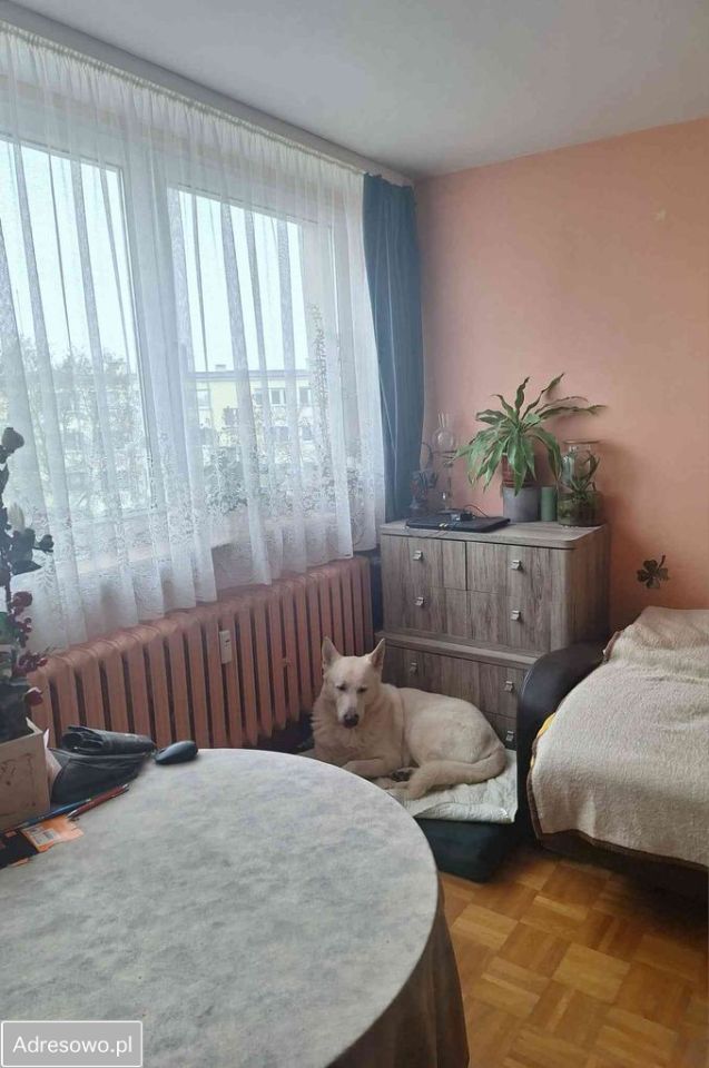 Mieszkanie 3-pokojowe Wrocław Fabryczna, ul. Włodzimierza Majakowskiego. Zdjęcie 9