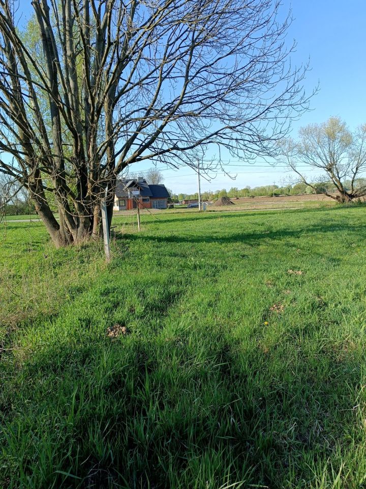 Działka siedliskowa Kępa Oborska. Zdjęcie 2