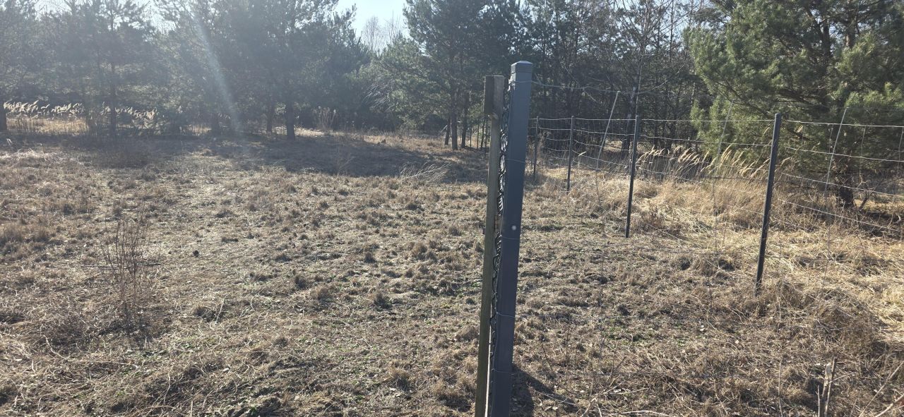 Działka budowlana Sokolniki-Las, Sierpecka. Zdjęcie 12