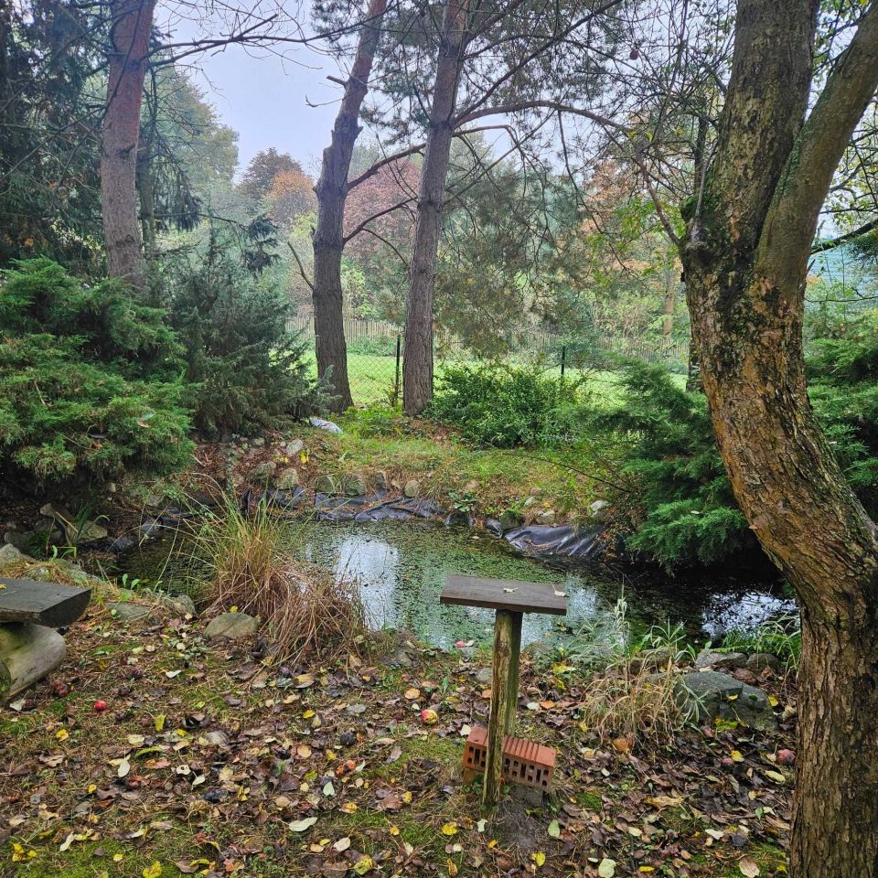 dom letniskowy Lubiszewice. Zdjęcie 2