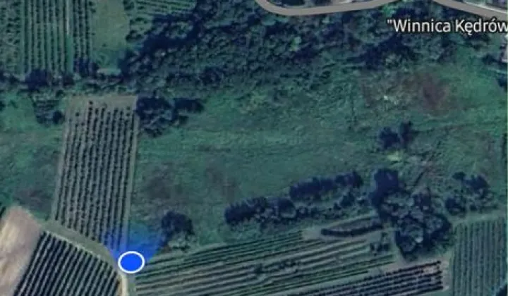 Działka rolna Faliszowice