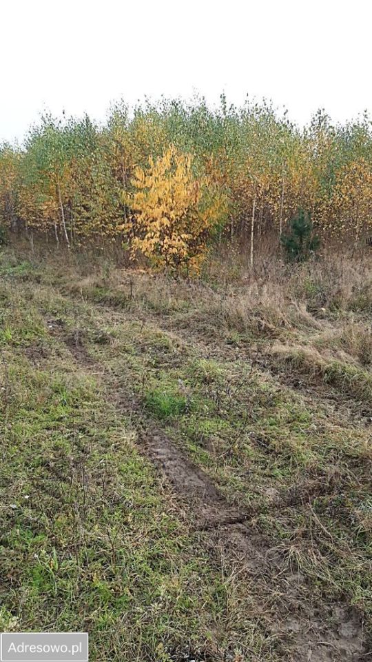 Działka rolno-budowlana Jania Góra. Zdjęcie 11