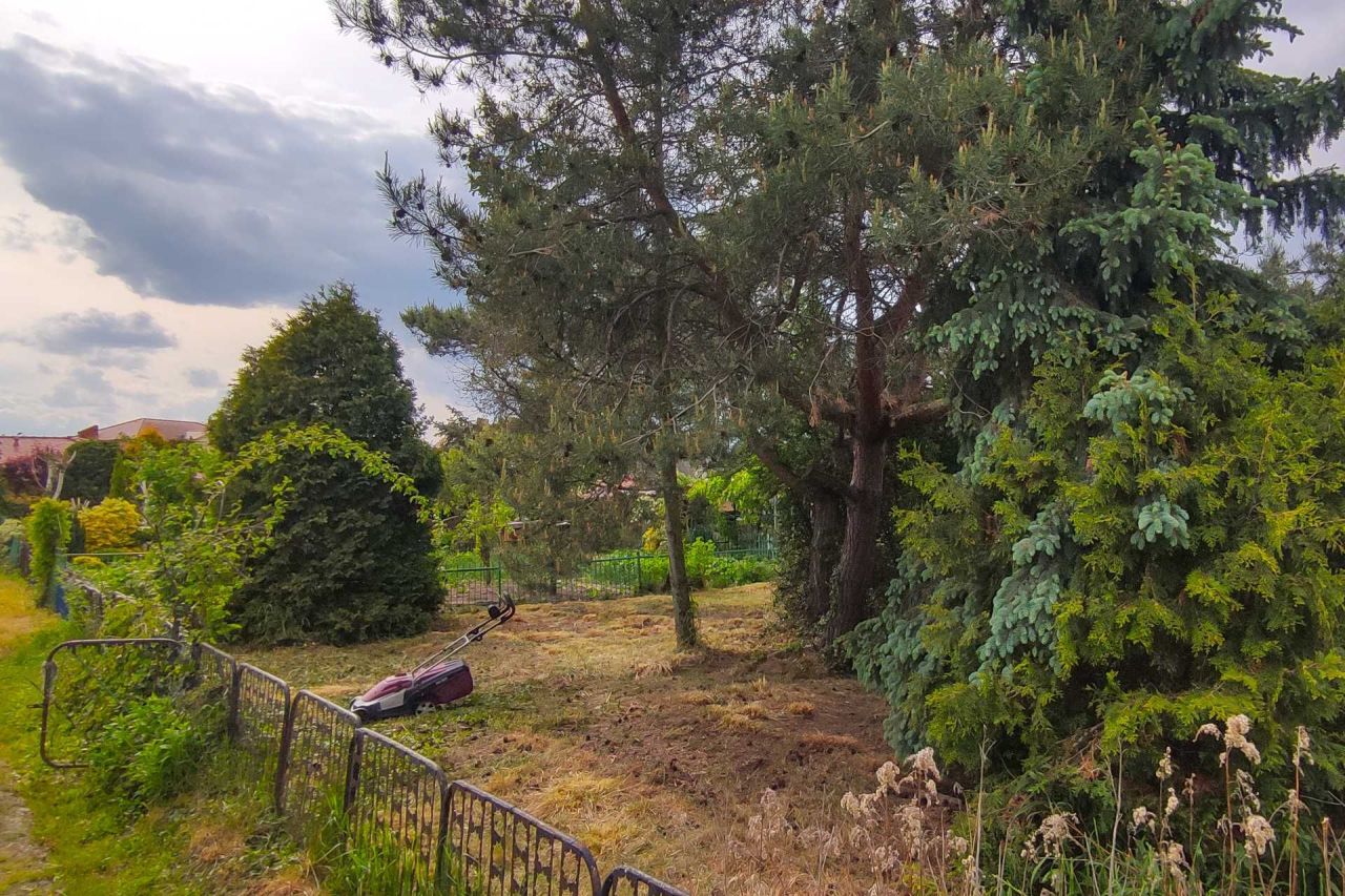 Działka rod Kościan. Zdjęcie 8