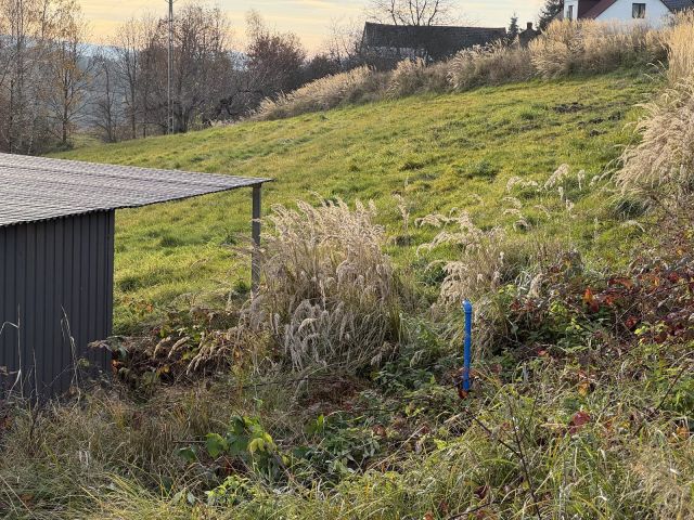 Działka rolno-budowlana Zakliczyn Kamionka, ul. Kamionka. Zdjęcie 8